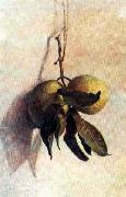 Benedito Calixto Guava china oil painting artist